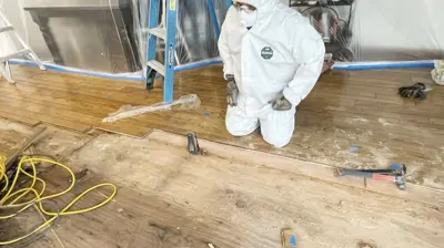 Mold Remediation Photo