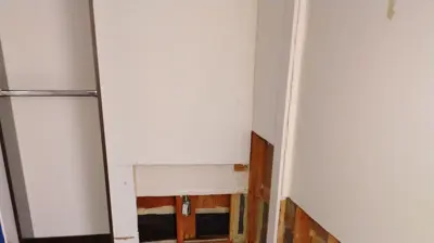 Mold Remediation Photo