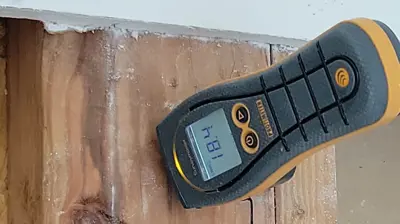 Mold Remediation Photo