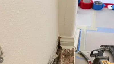 Mold Remediation Photo